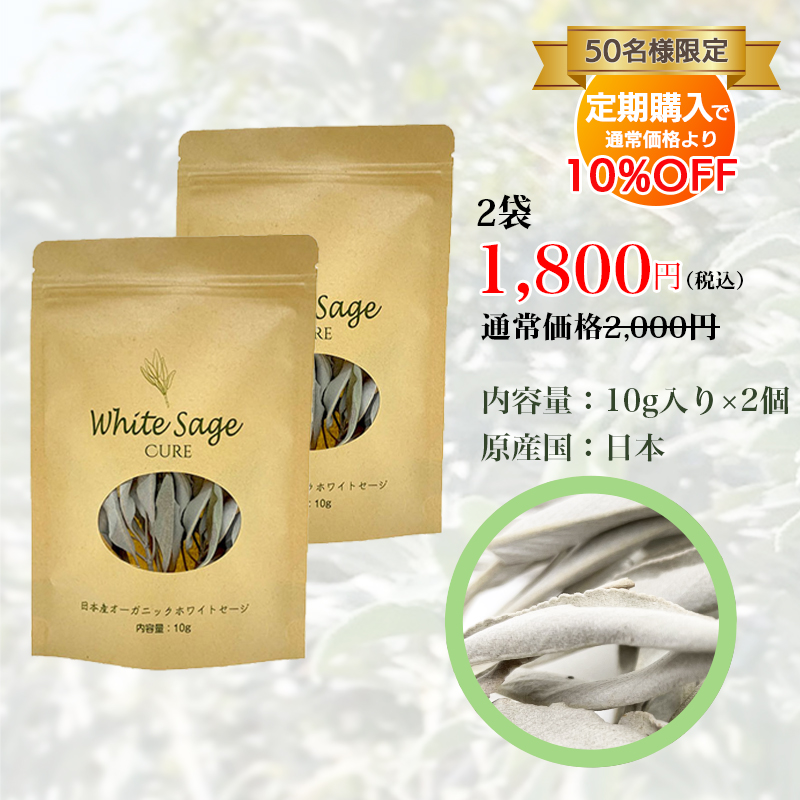 日本産ホワイトセージキュア（Japanese White Sage cure）（セイジ・seiji・ヤクヨウサルビア・ハーブ・Salvia）クラスター10g入りの商品写真です