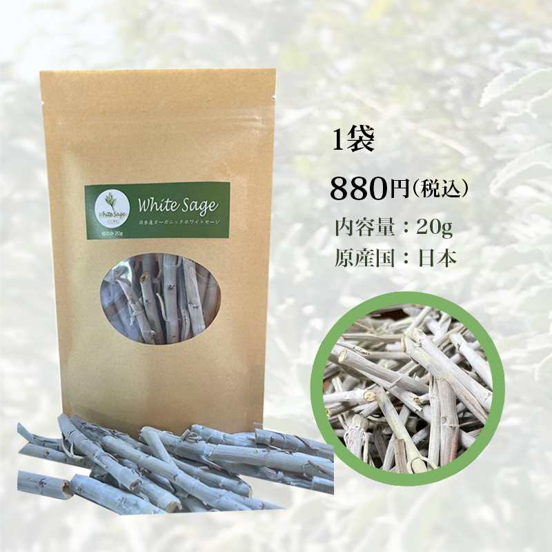 日本産ホワイトセージキュア（Japanese White Sage cure）（セイジ・seiji・ヤクヨウサルビア・ハーブ・Salvia）枝のみ20g入りの商品写真です