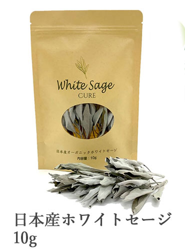 日本産ホワイトセージキュア（Japanese White Sage cure）（セイジ・seiji・ヤクヨウサルビア・ハーブ・Salvia）クラスター10g入りの商品写真です