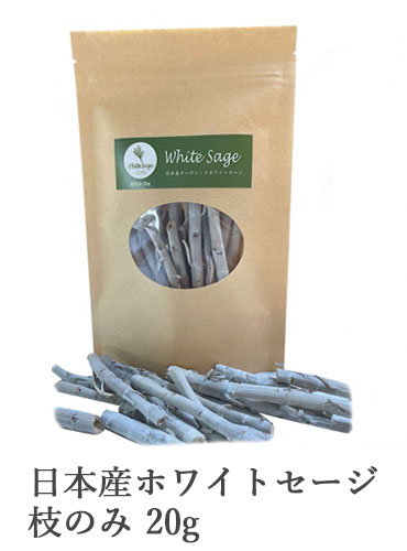 日本産ホワイトセージキュア（Japanese White Sage cure）（セイジ・seiji・ヤクヨウサルビア・ハーブ・Salvia）枝のみ20g入りの商品写真です