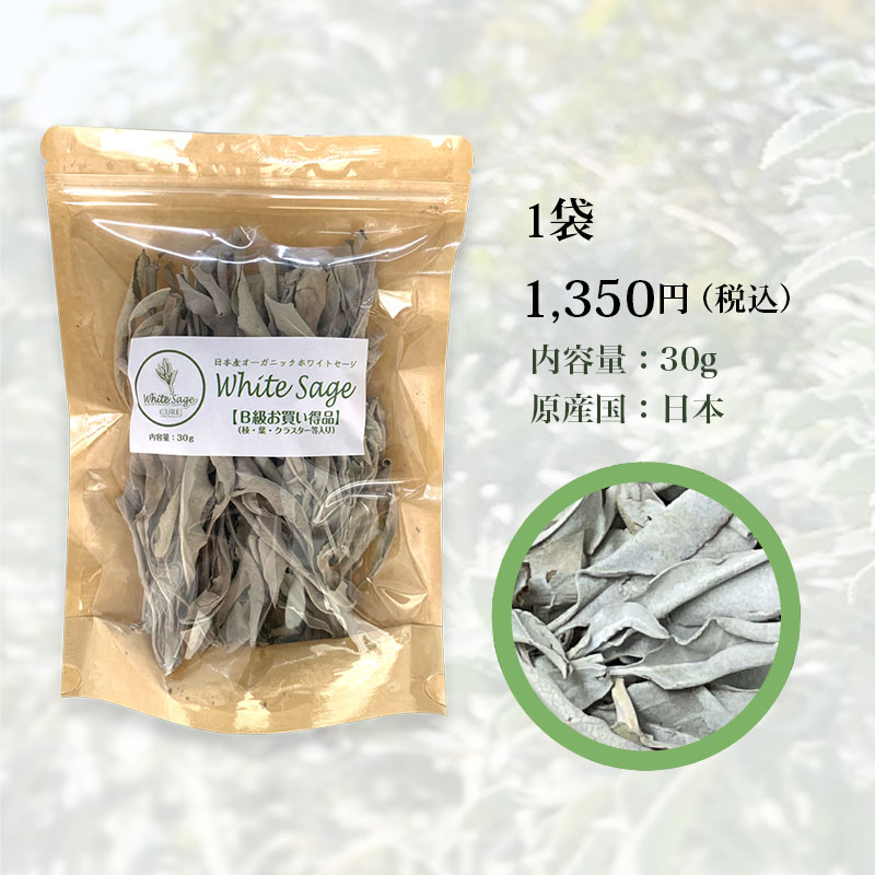 日本産ホワイトセージキュア（Japanese White Sage cure）（セイジ・seiji・ヤクヨウサルビア・ハーブ・Salvia）B級30gの商品写真です