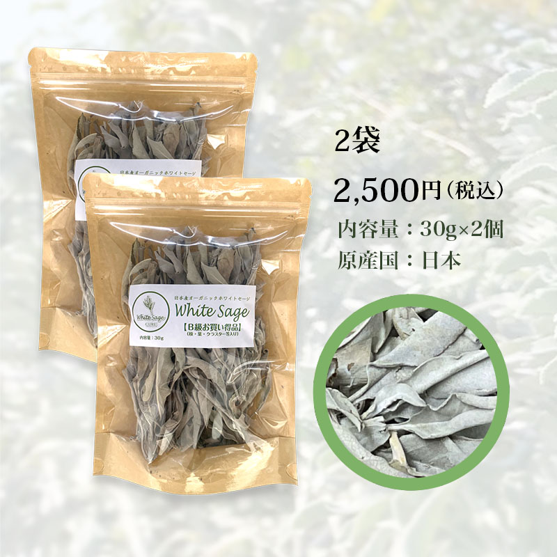 日本産ホワイトセージキュア（Japanese White Sage cure）（セイジ・seiji・ヤクヨウサルビア・ハーブ・Salvia）B級30g2個