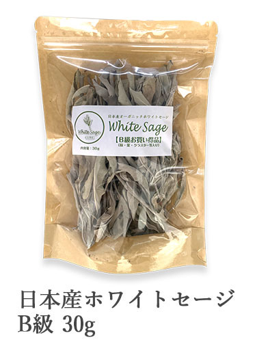 日本産ホワイトセージキュア（Japanese White Sage cure）（セイジ・seiji・ヤクヨウサルビア・ハーブ・Salvia）B級30gの商品写真です
